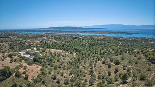Αγροτεμάχια 32.000 τ.μ. προς πώληση, Βερβερούδα-thumb-14