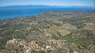 Αγροτεμάχια 32.000 τ.μ. προς πώληση, Βερβερούδα-thumb-19