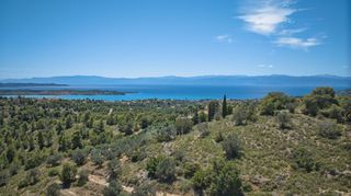 Αγροτεμάχια 32.000 τ.μ. προς πώληση, Βερβερούδα-thumb-12
