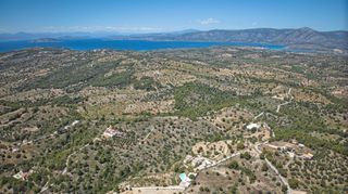 Αγροτεμάχια 32.000 τ.μ. προς πώληση, Βερβερούδα-thumb-24