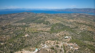 Αγροτεμάχια 32.000 τ.μ. προς πώληση, Βερβερούδα-thumb-21