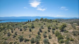 Αγροτεμάχια 32.000 τ.μ. προς πώληση, Βερβερούδα-thumb-2