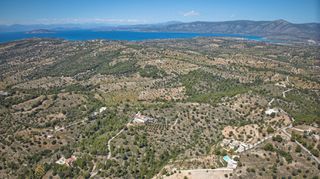 Αγροτεμάχια 32.000 τ.μ. προς πώληση, Βερβερούδα-thumb-22
