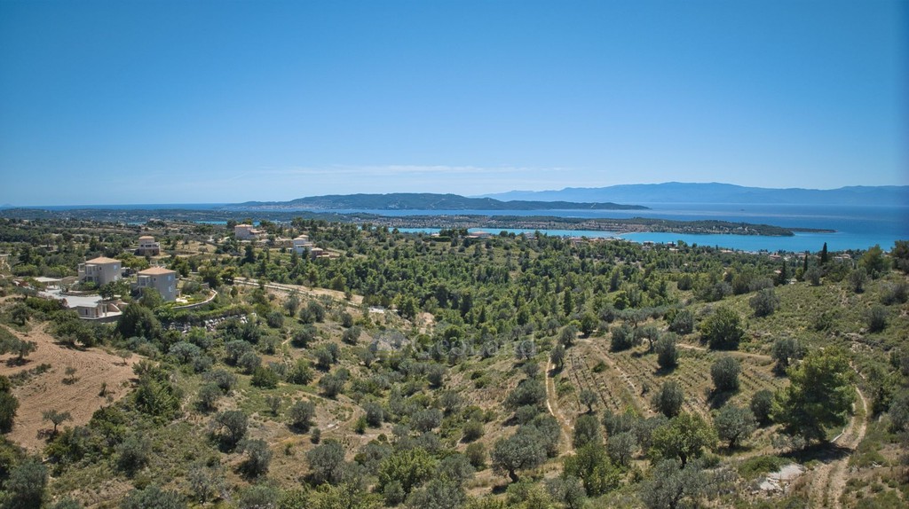 Αγροτεμάχια 32.000 τ.μ. για πώληση, Αργολίδα, Κρανίδι