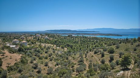 Αγροτεμάχια 32.000τ.μ. για πώληση-Κρανίδι » Βερβερούδα