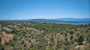 Αγροτεμάχια 32.000τ.μ. για πώληση-Κρανίδι » Βερβερούδα
