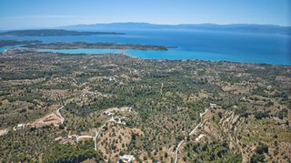 Αγροτεμάχια 32.000 τ.μ. προς πώληση, Βερβερούδα-thumb-17