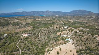 Αγροτεμάχια 32.000 τ.μ. προς πώληση, Βερβερούδα-thumb-10