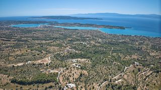 Αγροτεμάχια 32.000 τ.μ. προς πώληση, Βερβερούδα-thumb-16
