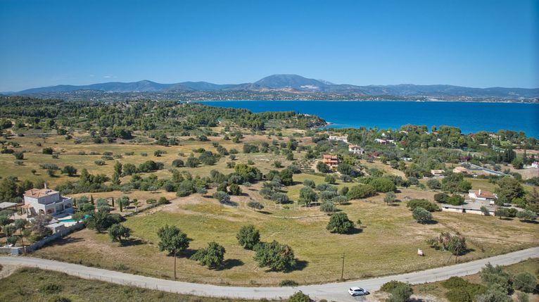Αγροτεμάχια 12.000 τ.μ. για πώληση, Αργολίδα, Κρανίδι
