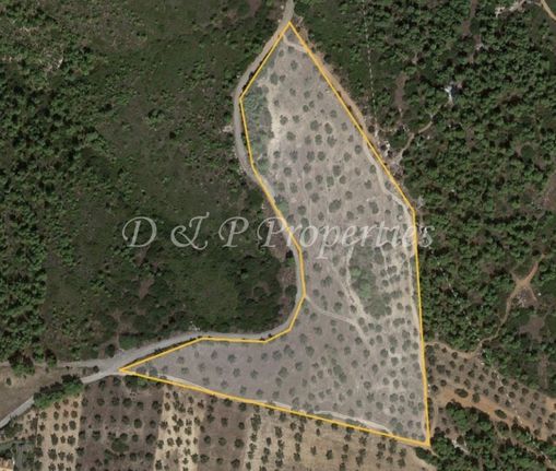 Parcel 28.000 sqm for sale, Boeotia, Inofita