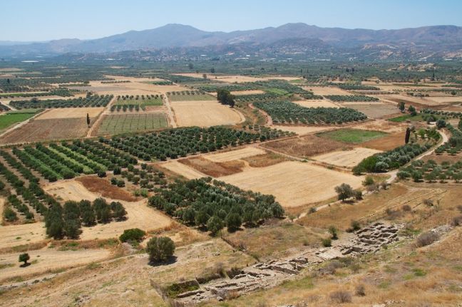 Αγροτεμάχια 3.400 τ.μ. για πώληση, Ν. Ηρακλείου, Τυμπάκι