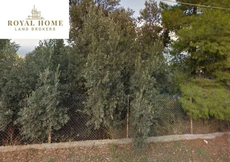 Οικόπεδο 1.100τ.μ. για πώληση-Πικέρμι » Ντράφι