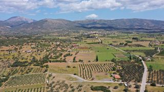 Αγροτεμάχια 7.215 τ.μ. για πώληση, Αργολίδα, Ερμιόνη-thumb-16