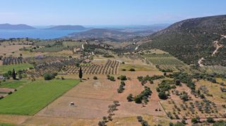 Αγροτεμάχια 7.215 τ.μ. για πώληση, Αργολίδα, Ερμιόνη-thumb-14