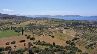 Αγροτεμάχια 7.215 τ.μ. για πώληση, Αργολίδα, Ερμιόνη-thumb-10