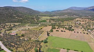 Αγροτεμάχια 7.215 τ.μ. για πώληση, Αργολίδα, Ερμιόνη-thumb-13