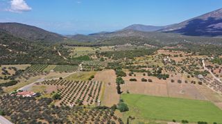 Αγροτεμάχια 7.215 τ.μ. για πώληση, Αργολίδα, Ερμιόνη-thumb-5