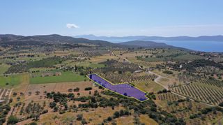 Αγροτεμάχια 7.215 τ.μ. για πώληση, Αργολίδα, Ερμιόνη-thumb-1
