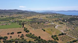 Αγροτεμάχια 7.215 τ.μ. για πώληση, Αργολίδα, Ερμιόνη-thumb-15