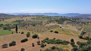 Αγροτεμάχια 7.215 τ.μ. για πώληση, Αργολίδα, Ερμιόνη-thumb-18