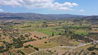 Αγροτεμάχια 7.215 τ.μ. για πώληση, Αργολίδα, Ερμιόνη-thumb-6