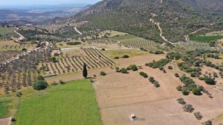 Αγροτεμάχια 7.215 τ.μ. για πώληση, Αργολίδα, Ερμιόνη-thumb-9