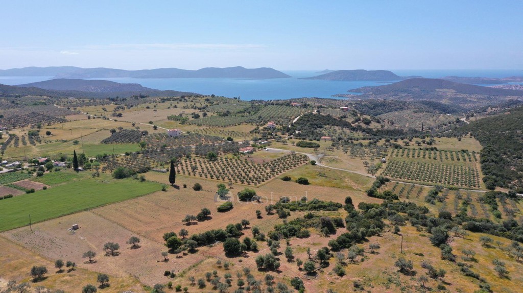 Αγροτεμάχια 7.215 τ.μ. για πώληση, Αργολίδα, Ερμιόνη