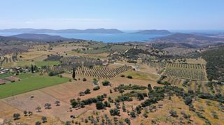 Αγροτεμάχια 7.215 τ.μ. για πώληση