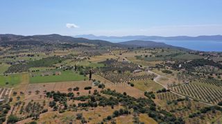 Αγροτεμάχια 7.215 τ.μ. για πώληση, Αργολίδα, Ερμιόνη-thumb-8