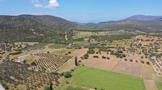 Αγροτεμάχια 7.215 τ.μ. για πώληση, Αργολίδα, Ερμιόνη-thumb-11