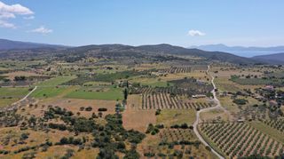 Αγροτεμάχια 7.215 τ.μ. για πώληση, Αργολίδα, Ερμιόνη-thumb-17