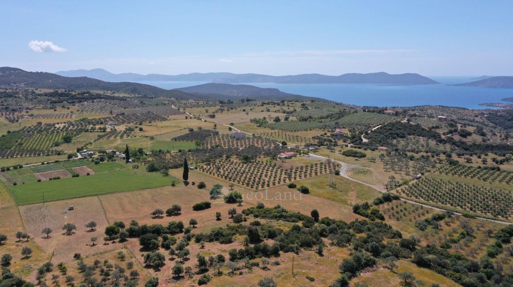 Αγροτεμάχια 7.215 τ.μ. προς πώληση, Ηλιόκαστρο