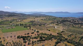 Αγροτεμάχια 7.215 τ.μ. για πώληση, Αργολίδα, Ερμιόνη-thumb-3
