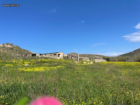 Αγροτεμάχια 4.308 τ.μ. για πώληση