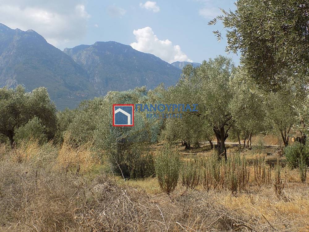 Αγροτεμάχια 6.882 τ.μ. προς πώληση, Φθιώτιδας, Υπάτη