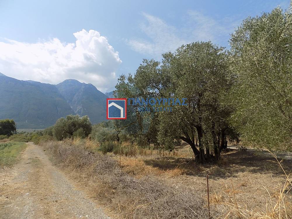 Αγροτεμάχια 6.882 τ.μ. προς πώληση, Φθιώτιδας, Υπάτη