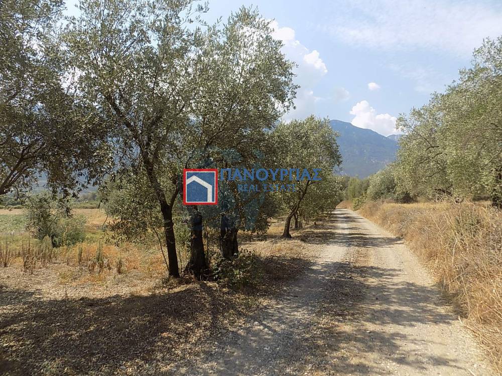 Αγροτεμάχια 6.882 τ.μ. προς πώληση, Φθιώτιδας, Υπάτη