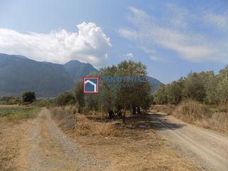Αγροτεμάχια 6.882 τ.μ. για πώληση