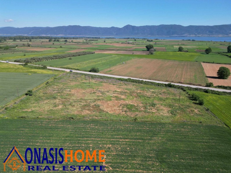 Αγροτεμάχια 16.000 τ.μ. πρός πώληση, Θεσσαλονίκη - Υπόλ. Νομού, Ρεντίνα