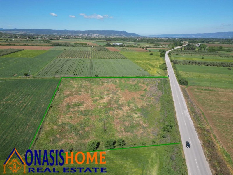 Αγροτεμάχια 16.000 τ.μ. πρός πώληση, Θεσσαλονίκη - Υπόλ. Νομού, Ρεντίνα