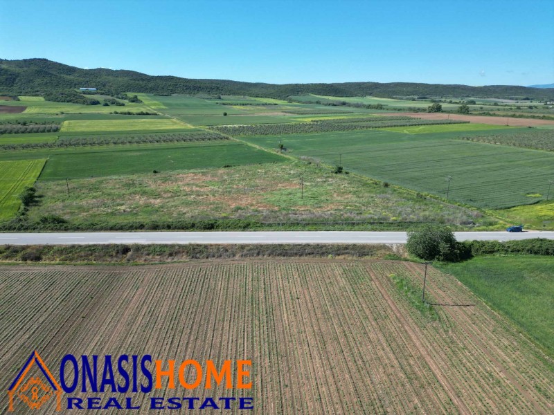 Αγροτεμάχια 16.000 τ.μ. πρός πώληση, Θεσσαλονίκη - Υπόλ. Νομού, Ρεντίνα
