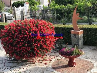 Μονοκατοικία 215 τ.μ. προς πώληση, Άβυθος-thumb-6