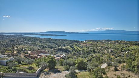 Αγροτεμάχια 34.580 τ.μ. για πώληση