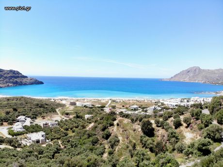 Αγροτεμάχια 4.550τ.μ. για πώληση-Φοινίκας » Πλακιάς