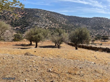 Αγροτεμάχια 14.000 τ.μ. για πώληση