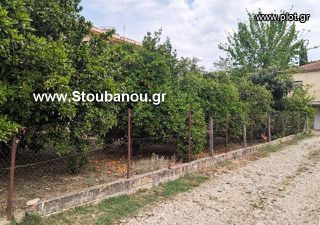 Κτίριο 268 τ.μ. προς πώληση, Δάφνη Αμαλιάδας-thumb-3