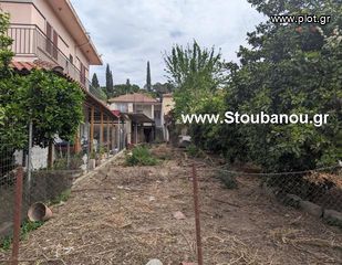 Κτίριο 268 τ.μ. προς πώληση, Δάφνη Αμαλιάδας-thumb-4