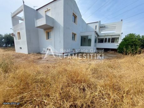 Business bulding 520sqm for sale-Pallini