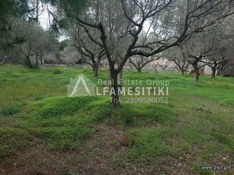 Land plot 1.180sqm for sale-Nea Peramos (Megalo Pefko)